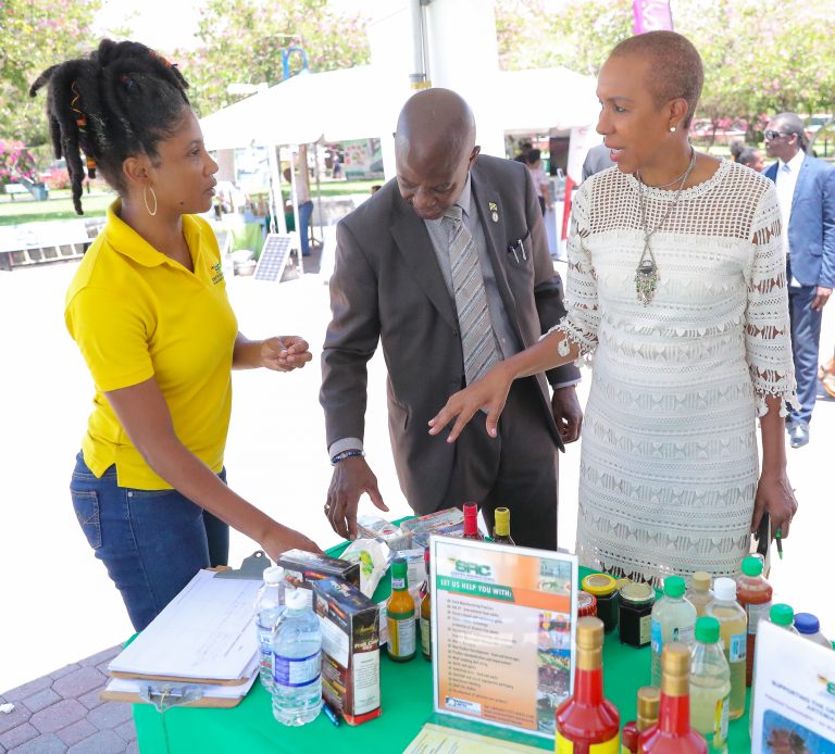 Launch of Emancipation Park Free Wi-Fi - Universal Service Fund (USF)